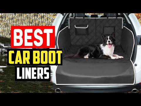 ✅Top 5 Best Car Boot Liners for Dogs in 2024