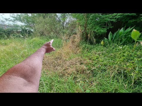 Mowing The Most SHOCKING OVERGROWN Lawn From HELL