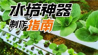 自制蔬菜无土栽培神器，简单易学！开启种菜无尽模式【泡泡的梦想家园】