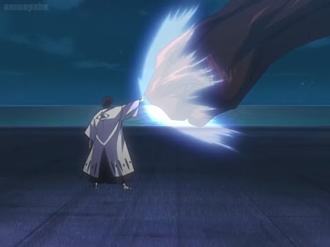 『BLEACH』/ ブリーチ : 仇討つ者たち, 日番谷、吼える