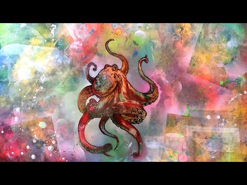 OCTOPUS with colored background by Spray Art Eden