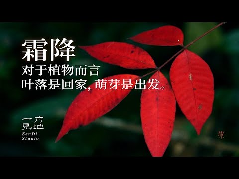 秋天的最后一个节气 你那里冷了吗？