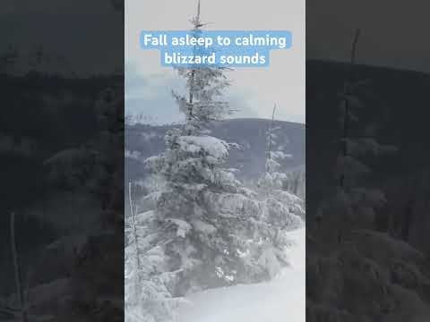 Blizzard Sounds for Sleep 😴