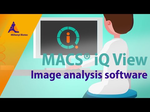 Image analysis software for true ultra high content data on the MACSima™ Imaging System