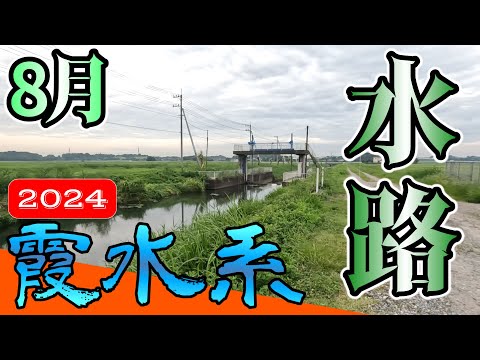 【バス釣り】【霞ヶ浦】8月_水路_利根川_小規模河川