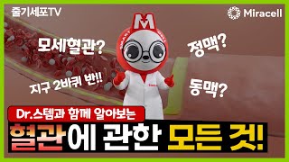 [줄기세포-Stem Cell TV]우리의 건강에 혈관이 그렇게 중요하다던데~~!! 혈관에 대한 모든 것!