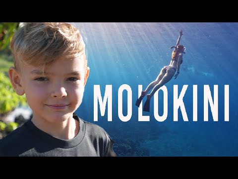 Snorkeling Molokini With Whales & Maui's Fastest Water Slide!