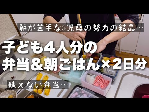 Bento & breakfast for 2 days! Home cooking Vlog in Japan