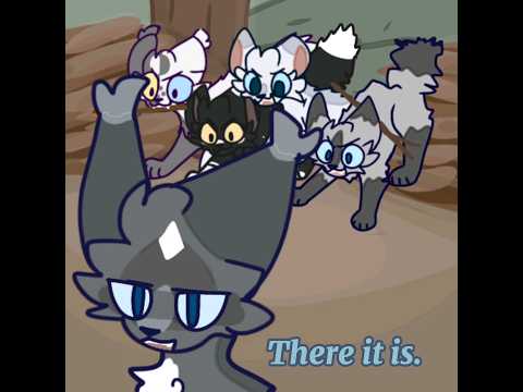 NestClan on a daily basis... #warriorcats