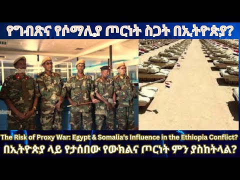 የግብጽና የሶማሊያ ጦርነት ስጋት በኢትዮጵያ? #TigraiPress #Ethiopia #TigrayWar #RedSea #Egypt #Somalia #Eritrea