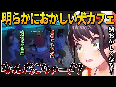 犬カフェで犬として働く人権がなくなったころさんとミオしゃを見た警察メンバー三人の反応【 戌神ころね ホロライブ切り抜き】