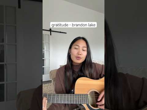 gratitude - brandon lake (snippet) #cover #gratitude #snippet #blessed #guitar #worship #christian