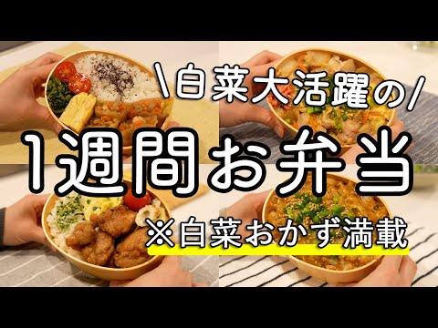 【お弁当作り】白菜おかず大活躍！１週間の旦那弁当｜白菜春巻き｜白菜親子丼｜生姜唐揚げ｜麻婆白菜｜豚じゃが甘辛炒め