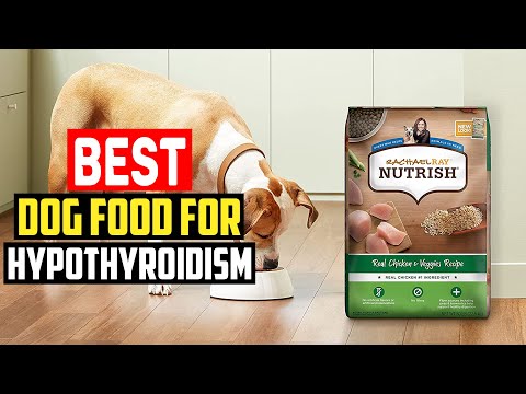 ✅ Top 5 Best Dog Food for Hypothyroidism in 2023