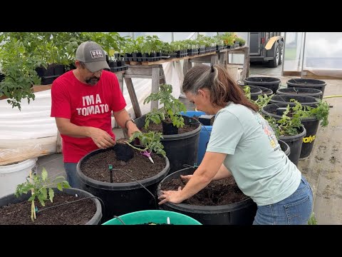 Watch Our Greenhouse Come Alive!  It’s Planting Day!