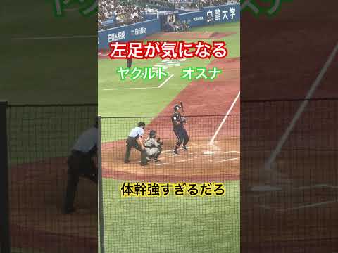 左足のクセがすごい。ヤクルトオスナ。#プロ野球 #オスナ