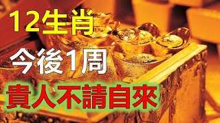 2023年12生肖运势，預測十二生肖（四大生肖有錢貴人不請自來）生肖運勢（四大生肖財運特旺命裡財旺）生肖運勢（四大生肖良緣相伴）生肖運程2023年12生肖运势，預測十二生肖（鼠、龍、猴、兔）