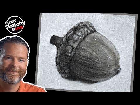 How to Draw an Acorn with Charcoal - Live Drawing Exercise