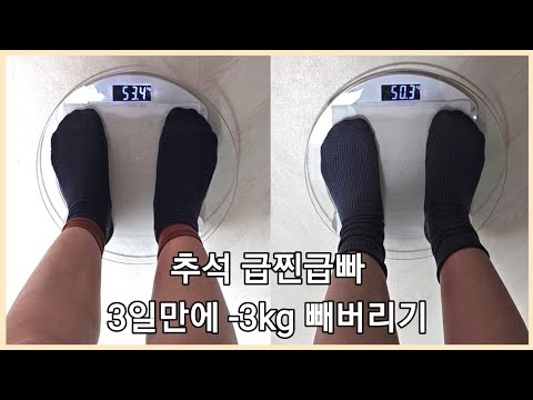 [추석연휴 급찐급빠 다이어트 브이로그] 3일만에 -3kg 빼버리기, 운동, 식단, Diet Vlog