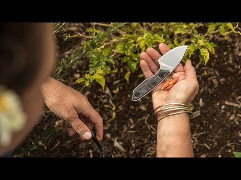 Gerber Stowe: Compact Fixed Blade Knife