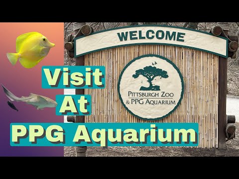 Pittsburgh PPG Aquarium (March 2021 Visit)