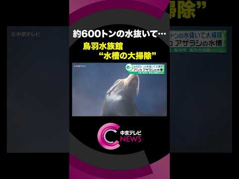 【水槽の大掃除】 約600トンの水抜いて･･･年末の恒例行事　三重・鳥羽市 鳥羽水族館 #shorts