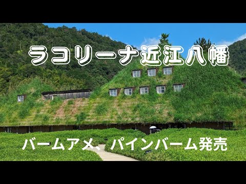 ラコリーナ近江八幡に行って来ました。バームアメ、パインバーム発売　パインアメXCLUBHARIEコラボレーション