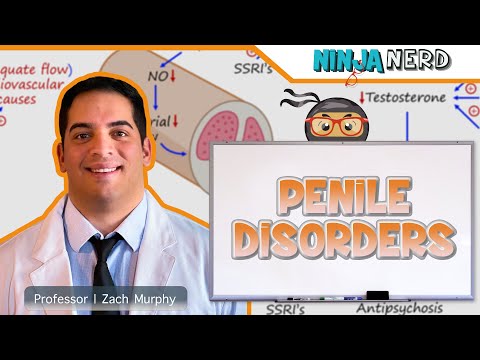 Penile Disorders | Clinical Medicine