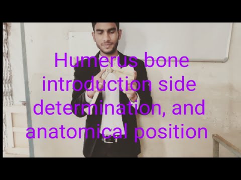 humerus introduction, side determination and anatomical position in hindi