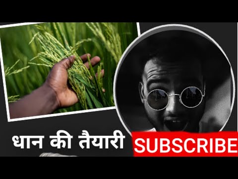 धान की तैयारी #vlog2 #dailyvlogging