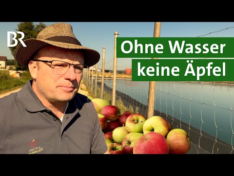 Gegen Hitze und Frost: Wasser sammeln und Obstbäume bewässern | Unser Land | BR