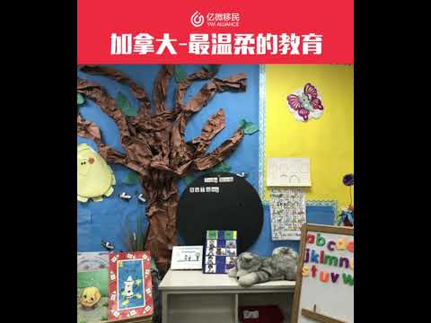 加拿大高中實地參觀: 特殊教育, 滿足不同學生需求, 個性化發展