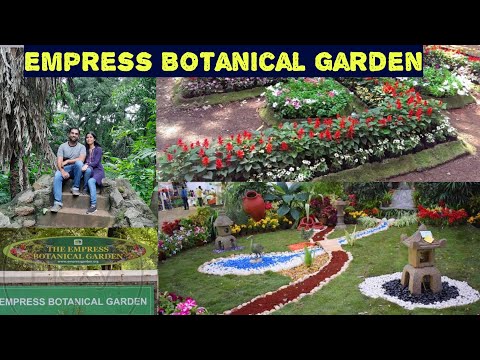 Empress Botanical Garden Pune | Empress Botanical Garden | Botanical Garden in Pune | VlogGoals