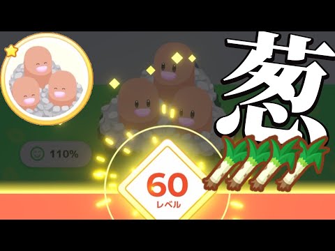 【葱緩和】ダグトリオの60レベと1000時間アイコン見れるのはこのチャンネルだけ！【ポケモンスリープ】