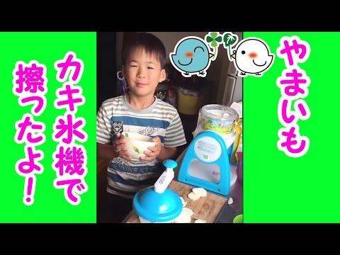 かき氷機で山芋をすってみた！！意外とイケる！