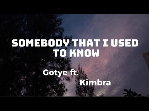 SOMEBODY THAT I USED TO KNOW  -Gotye ft. Kimbra (lyric video) #viralvideo