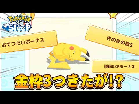 3種の神器きたけど素直に喜べない身体になりました。【ポケモンスリープ】