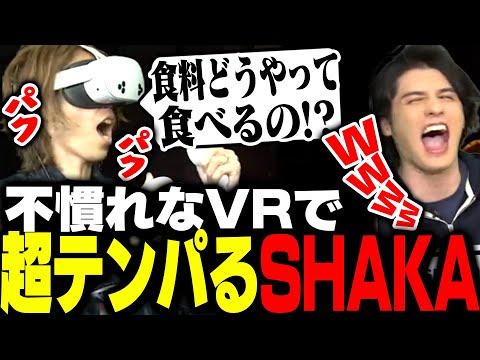 慣れていないVRゲームで過去一テンパるSHAKA【The Walking Dead: Saints & Sinners】