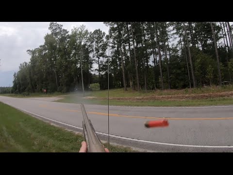 SC Deer Dog Drives 9/9/23: Good Races and Deer on Cam!