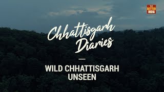 Chhattisgarh Diaries: Episode 6 - Wild Chhattisgarh Unseen