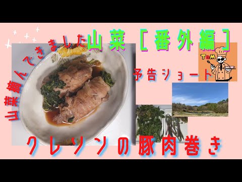 【予告】【山菜番外編】クレソンは山菜？【クレソン豚肉巻き】#Shorts