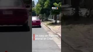 ¡En todos lados sucede! 😡 Esta mujer graba cómo llevan a un perrito arrastrando de un auto.