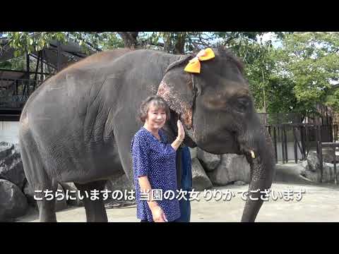 市制施行60周年記念お祝いメッセージ　坂本小百合園長