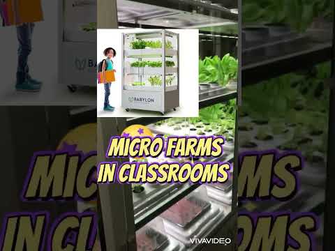 Micro Farms in classrooms:Back to School #microfarm #backtoschool #farming #babylon