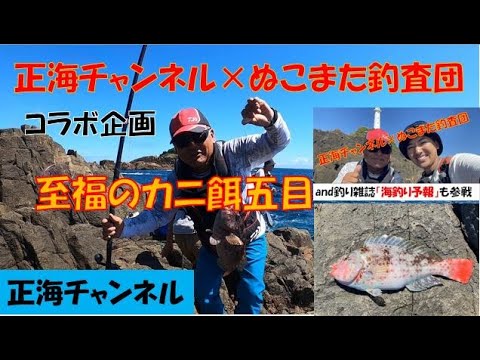 正海チャンネル×ぬこまた釣査団コラボ　カニ餌五目