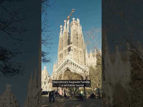 Insta vs reality: Is Barcelona's Sagrada Família really worth a visit?