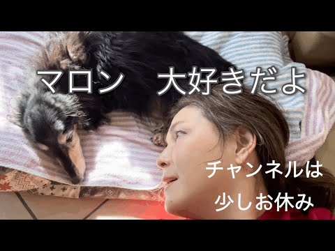 愛犬マロン🐶旅立つ日を見つめての一日／チャンネルをちょっとお休みします