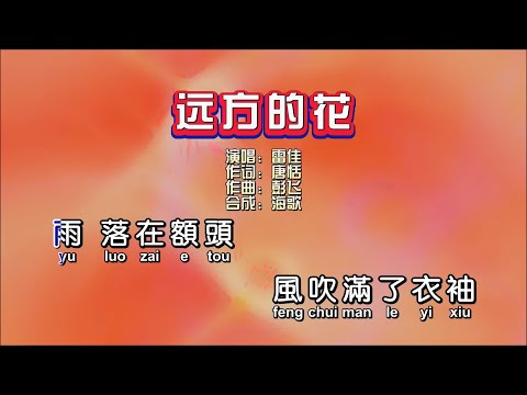 雷佳《远方的花》 伴奏