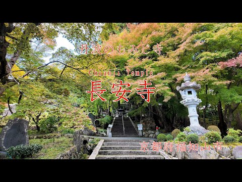 京都・丹波の寺社＃69　長安寺～丹波のもみじ寺～