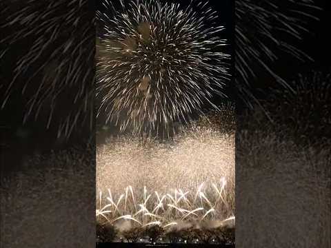 土浦花火大会。なんだかんだで最高でした。茨城県土浦市 #shorts #花火大会 #fireworks